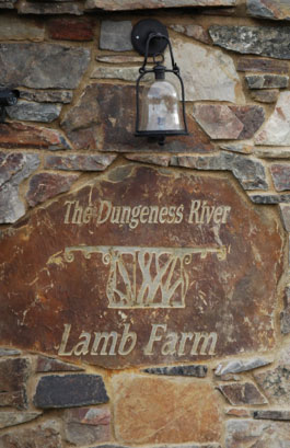 Dungeness River Lamb Farm